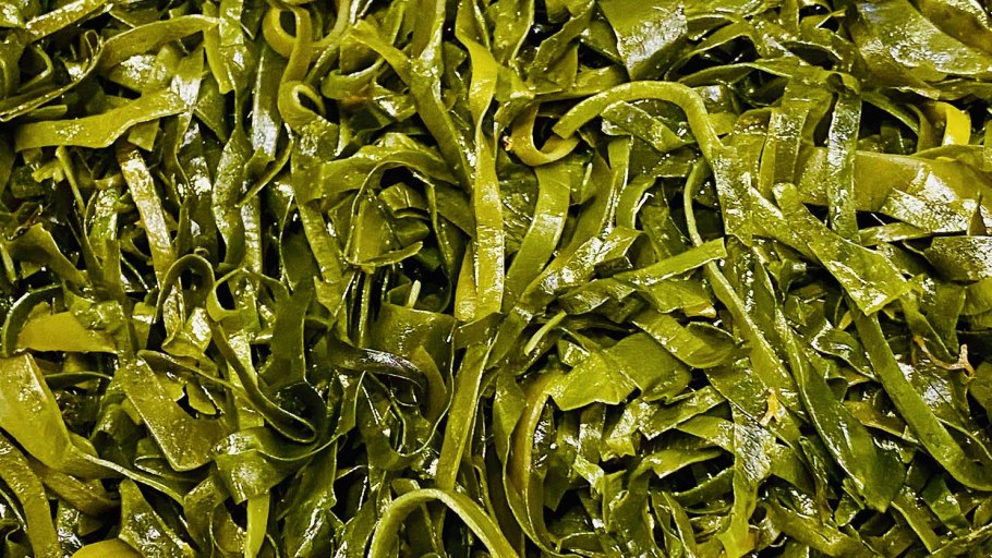 Морская капуста ламинария