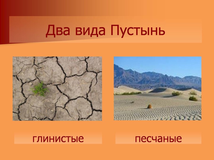 Два вида пустынь