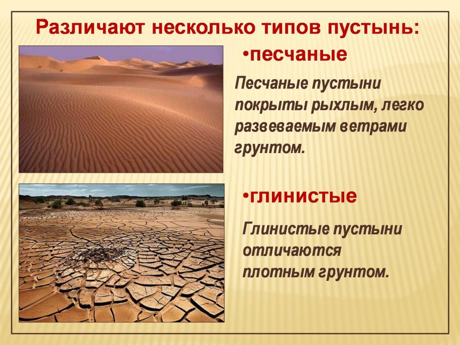 Животный мир пустынь тропических пустынь Африки