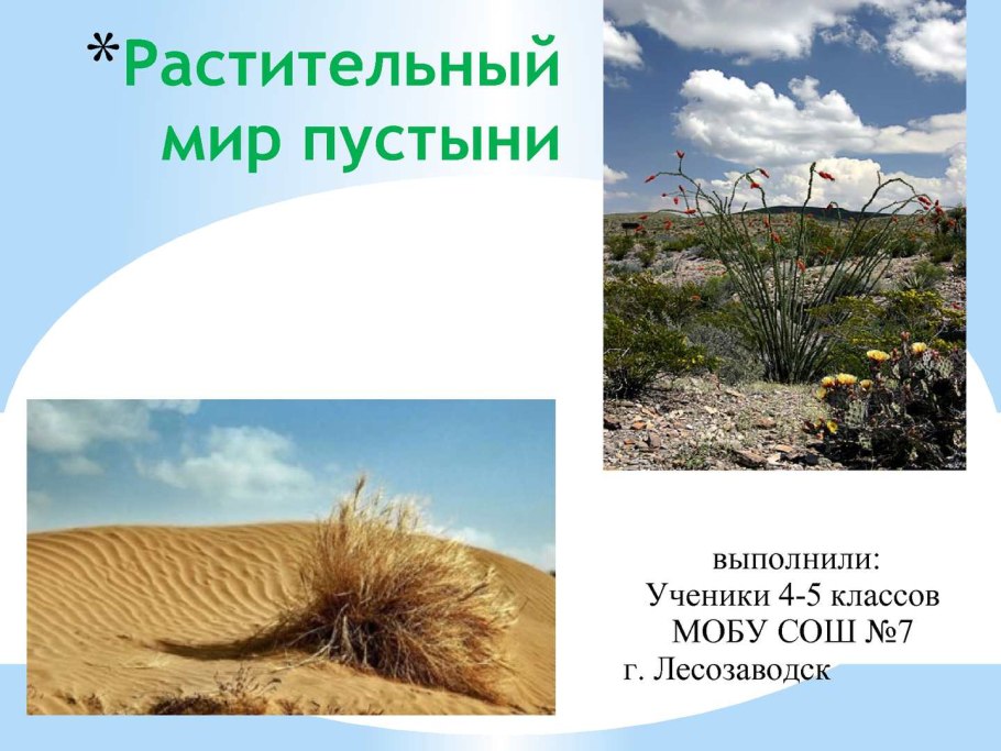 Растительный мир пустынь