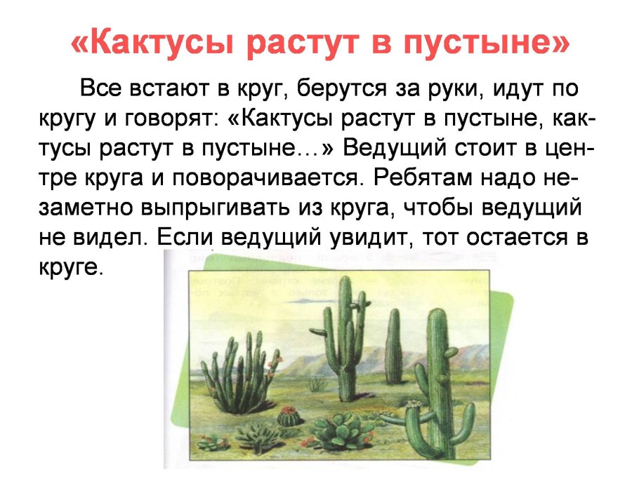 Сообщение о кактусе в пустыне
