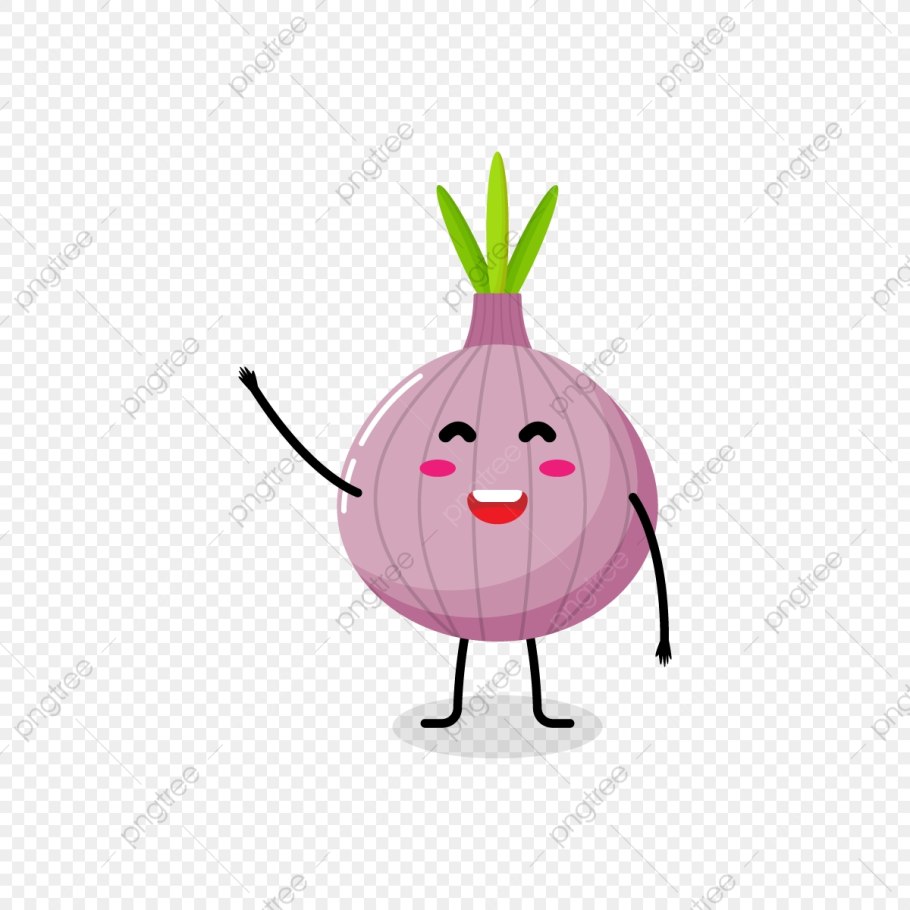 Схема луковицы репчатого лука