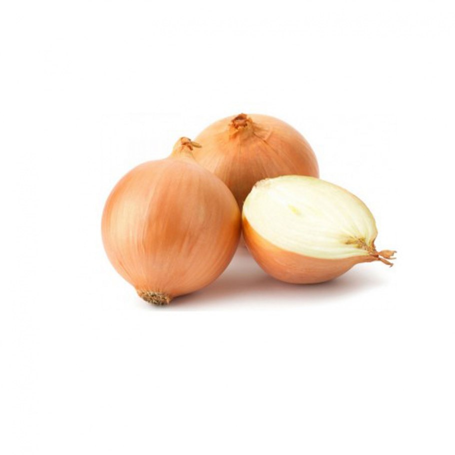 Схема посадки лука севка весной на репку в открытом грунте