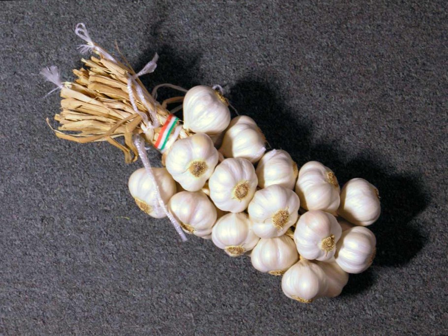 Овощи лук чеснок