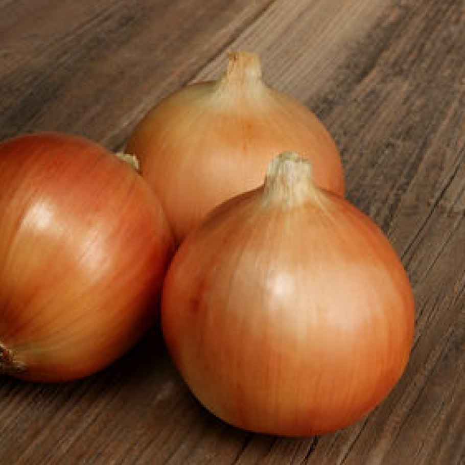 Профессиональные семена лука красного