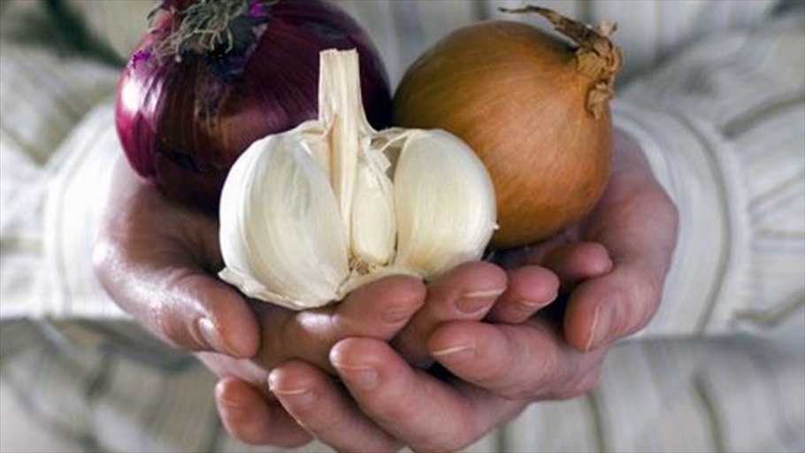 Лук-севок Купидо f1