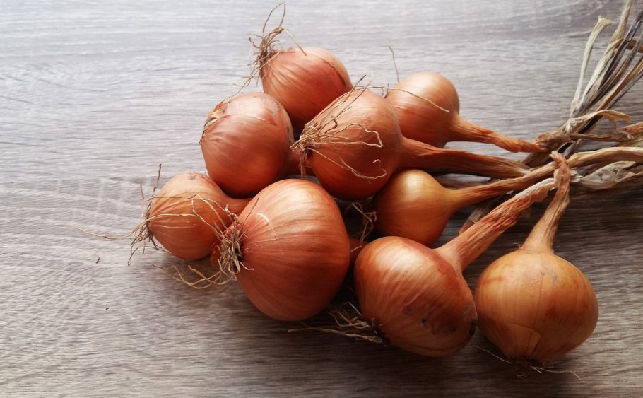 Связка чеснока