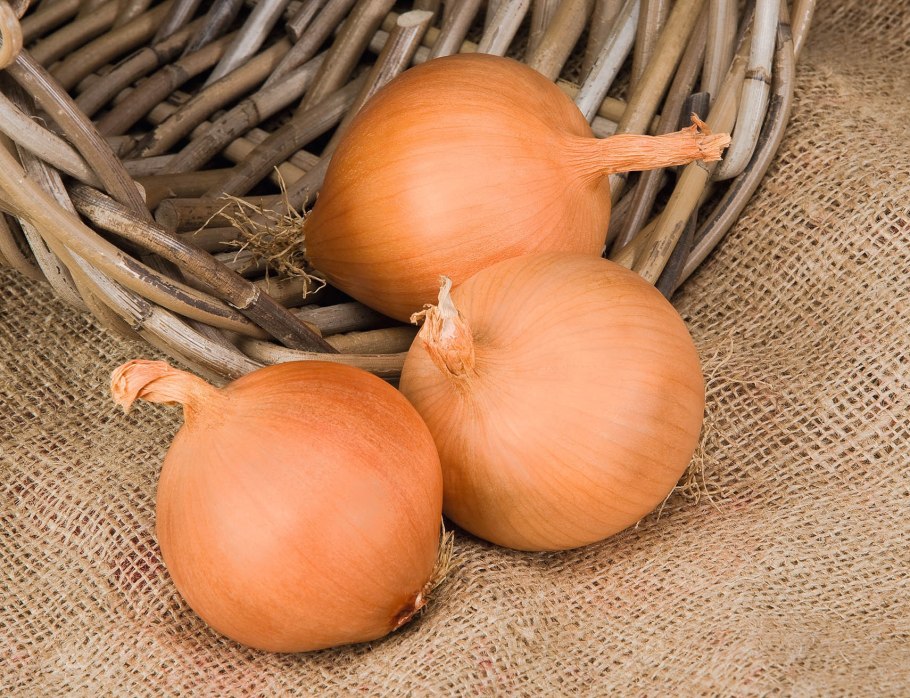 Лук полезные вещества