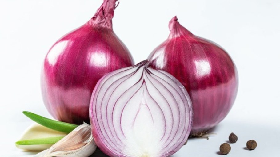 Лук севок красный и белый