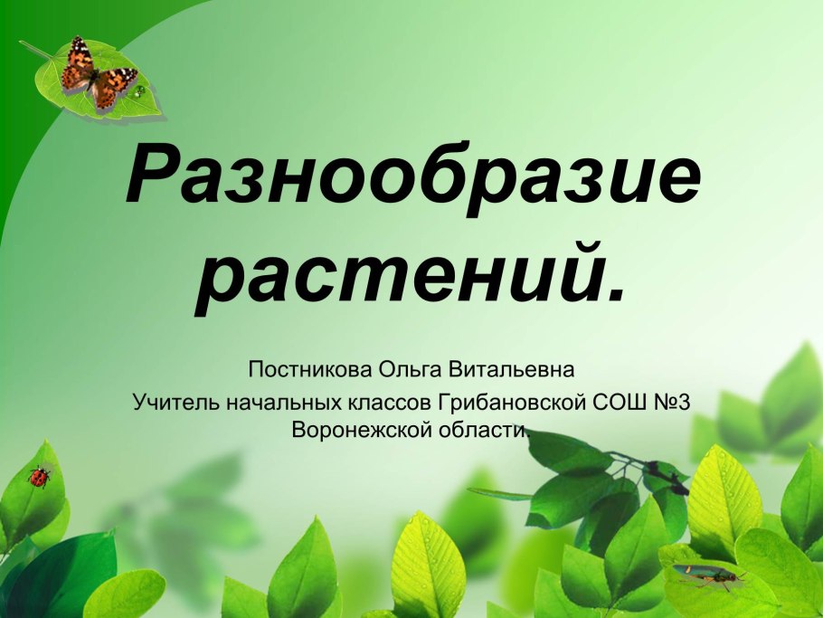 Эволюционное Древо царства растений