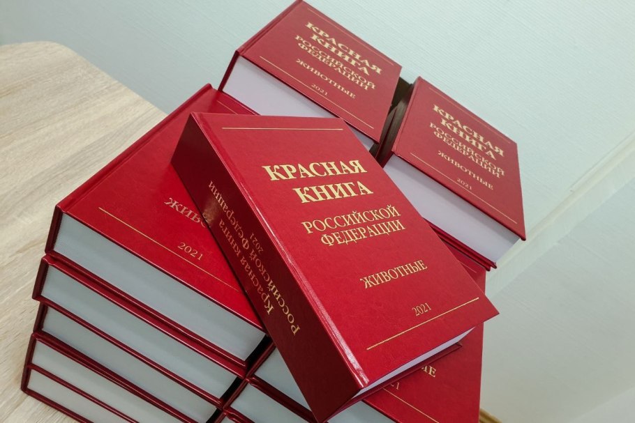 Первая Международная красная книга