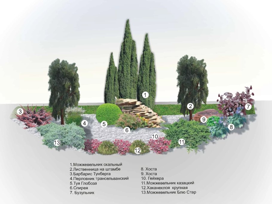 Название кустов и деревьев