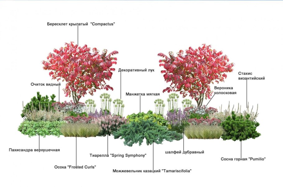 Стилизованные формы деревьев