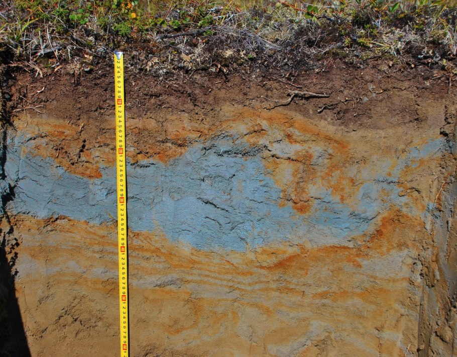 Дерново-подзолистые иллювиально-железистые