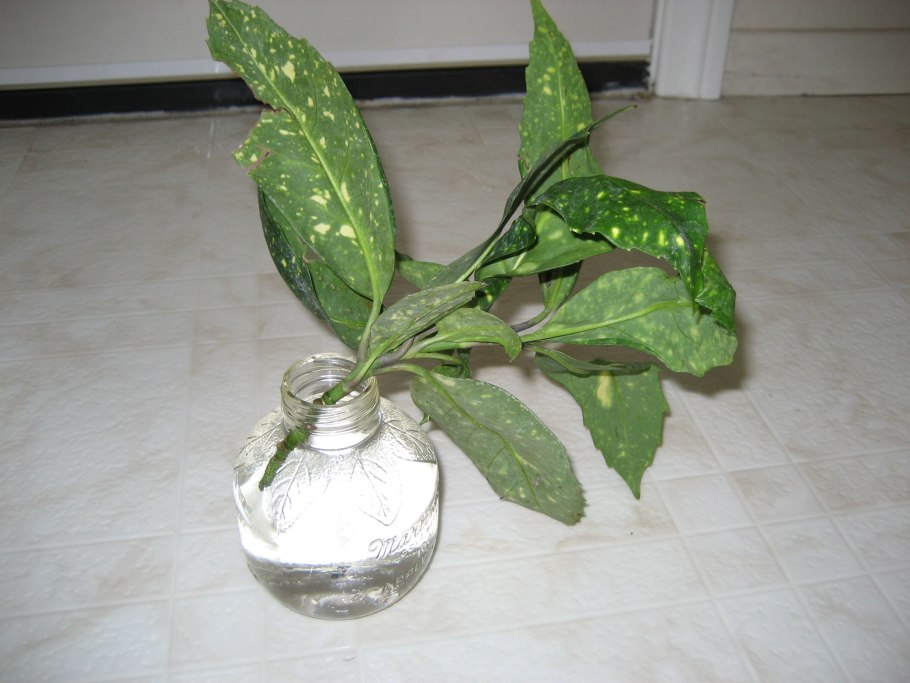 Портрет Лопухиной Лермонтова