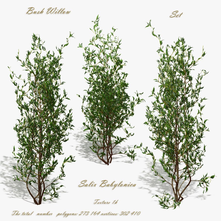 Ива Матсудана Вавилонская