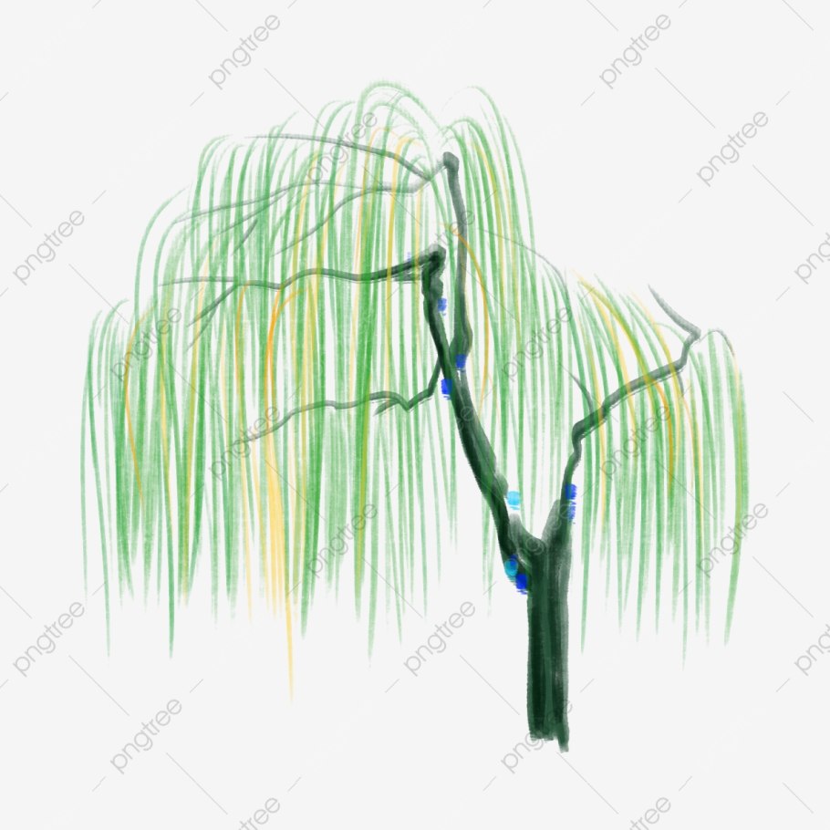 Жизненыеформы растений