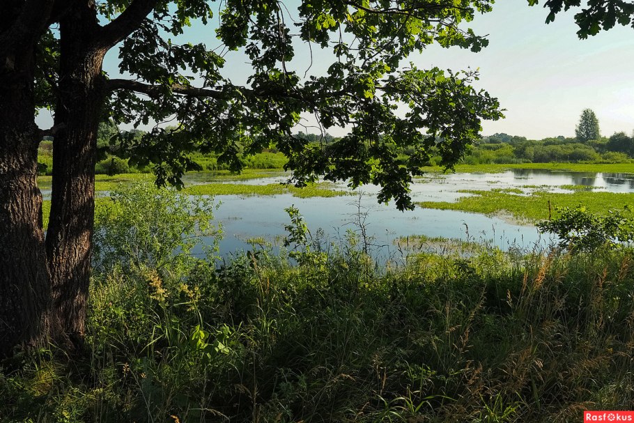 Арзамас заливные Луга