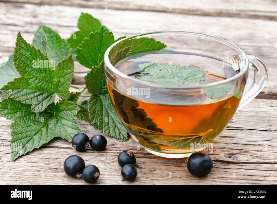 Иван чай со смородиновым листом