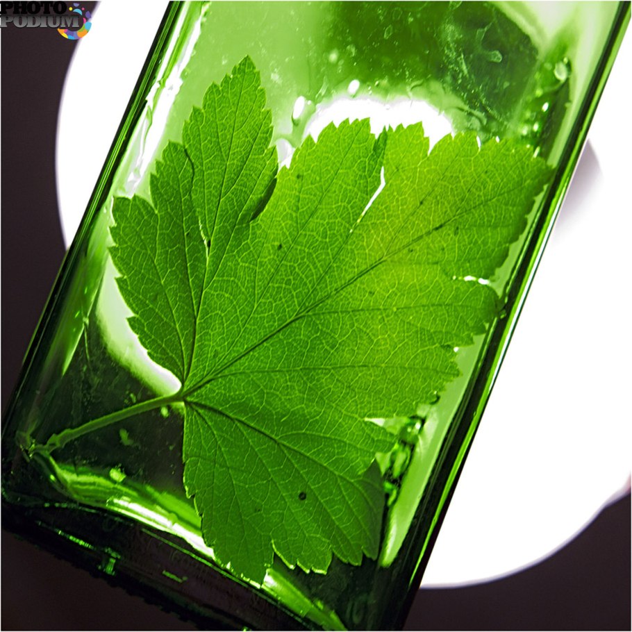 Чай со смородиной