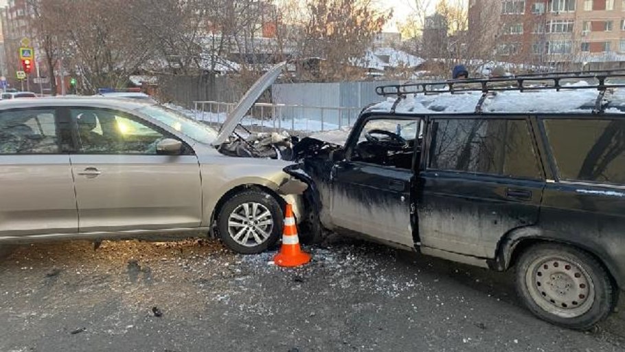 Писает в горшок с растением