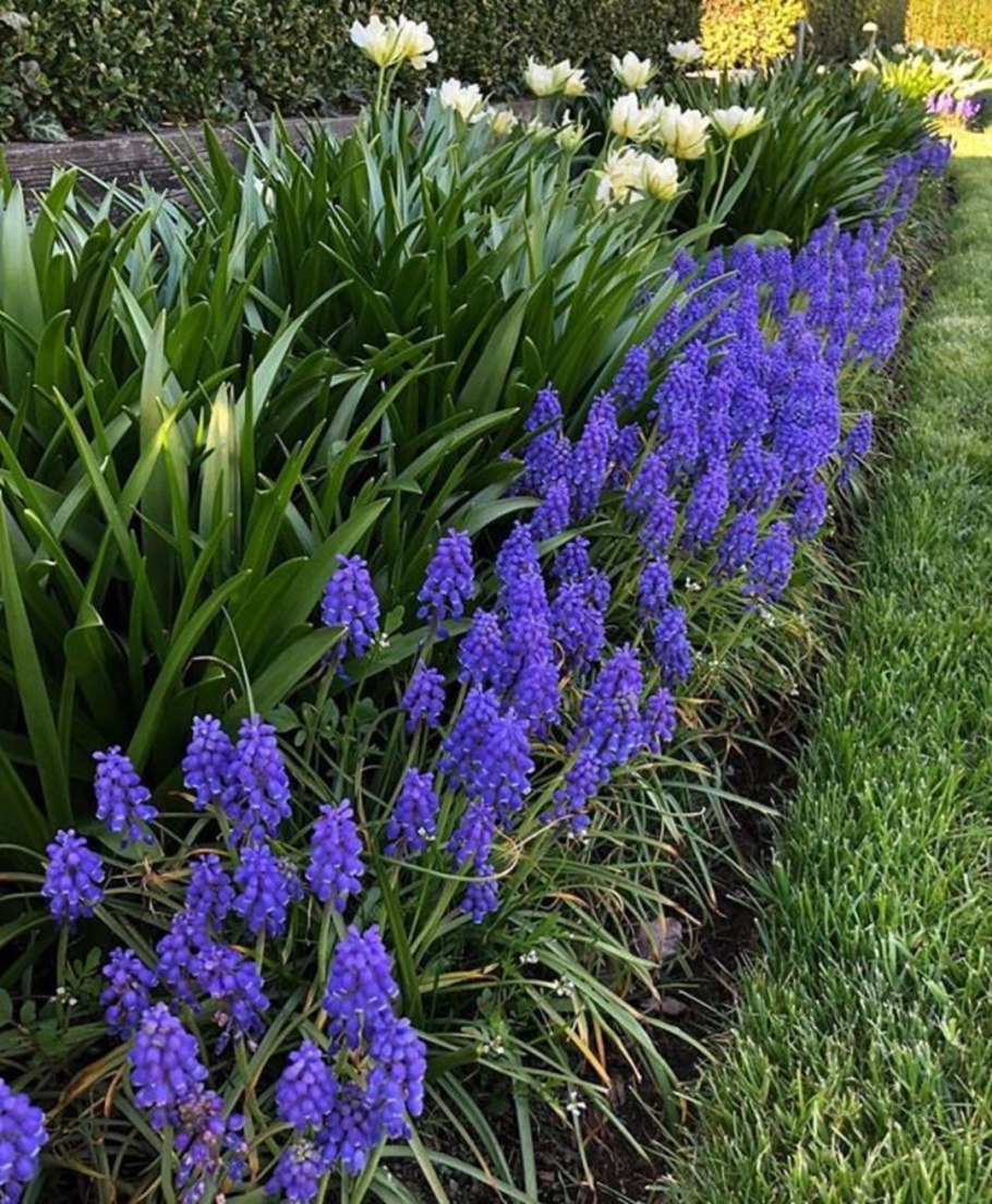 Обриета чарующий Марокко