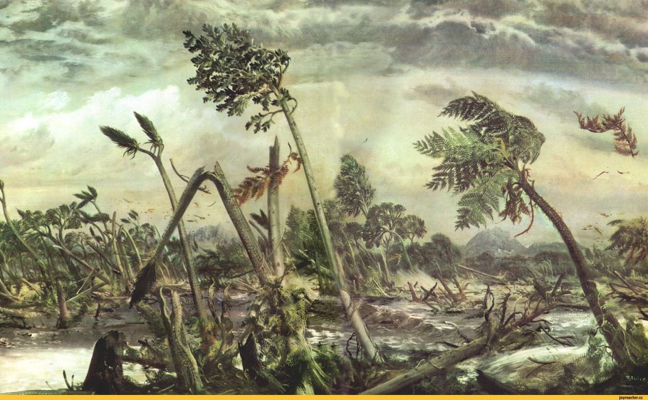 Африканское Драконово дерево