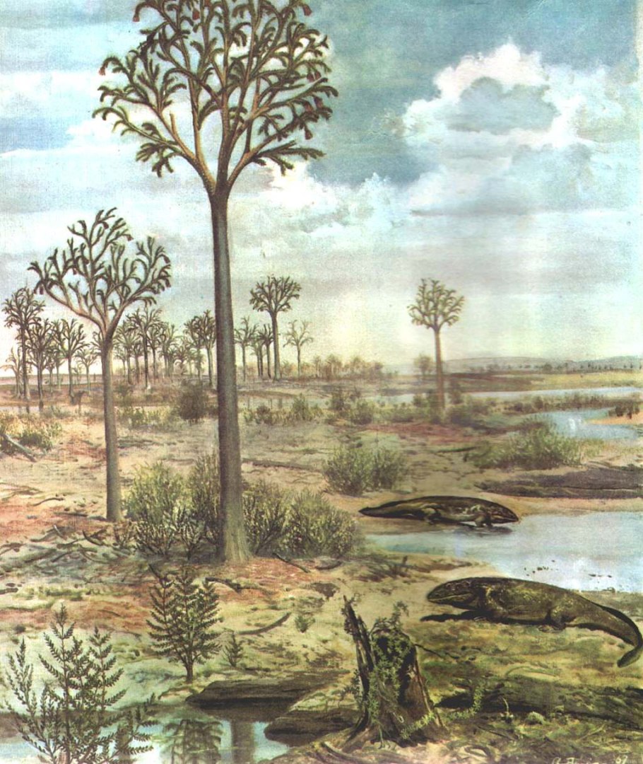 Окаменелости деревьев древние деревьев