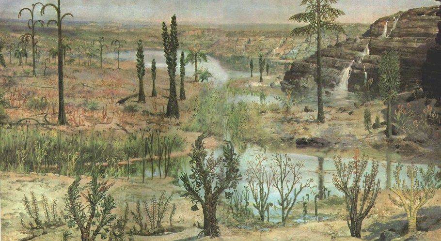 Древовидные папоротники Австралии