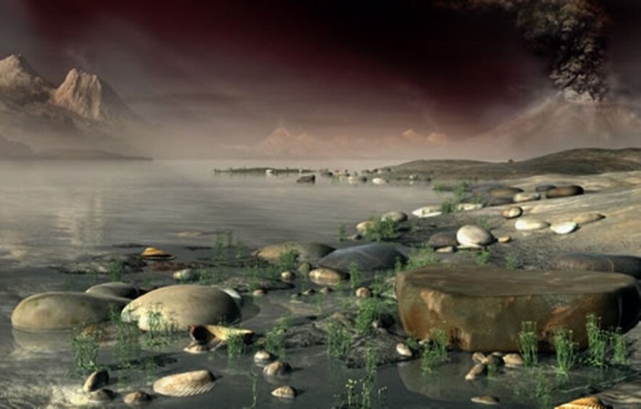 Сосна остистая Мафусаил