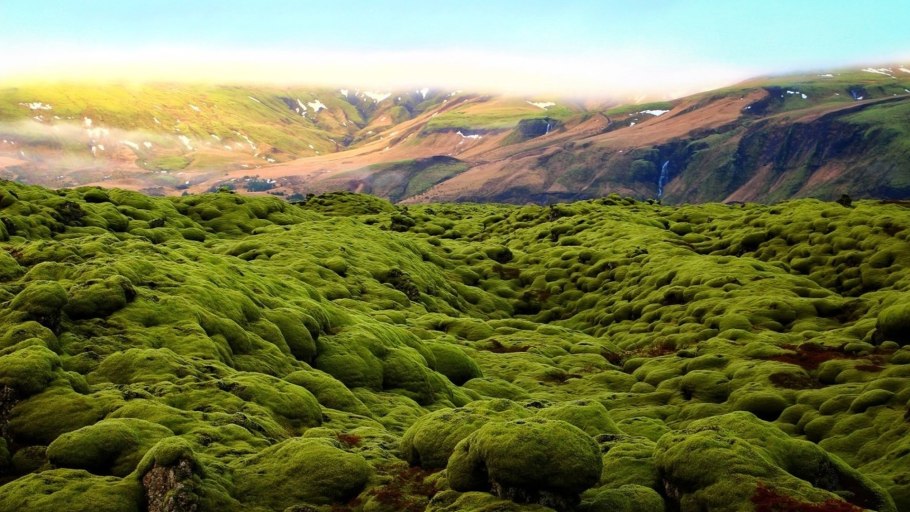 Остров Сокотра Йемен