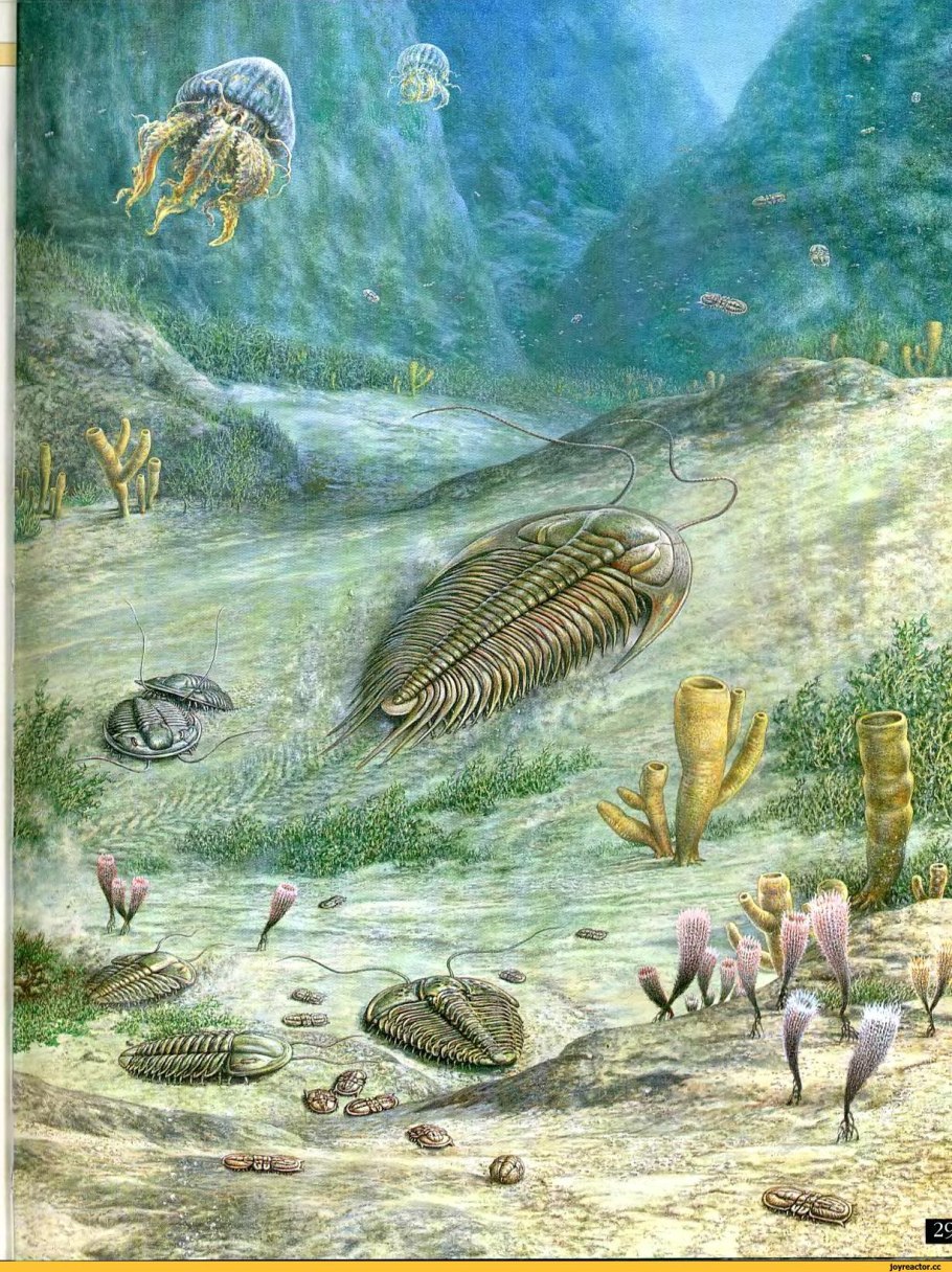 Палеозойская Эра ордовикский период