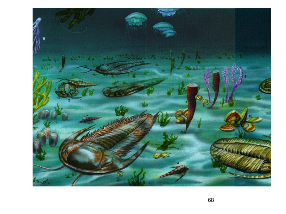 Саговниковые Триас