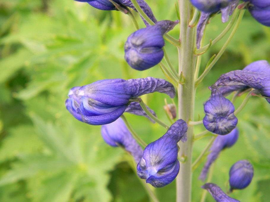 Бигуди BABYLISS Pro babts6gse