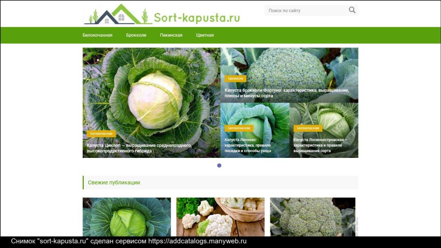 Соцветие семейства Сложноцветные схема