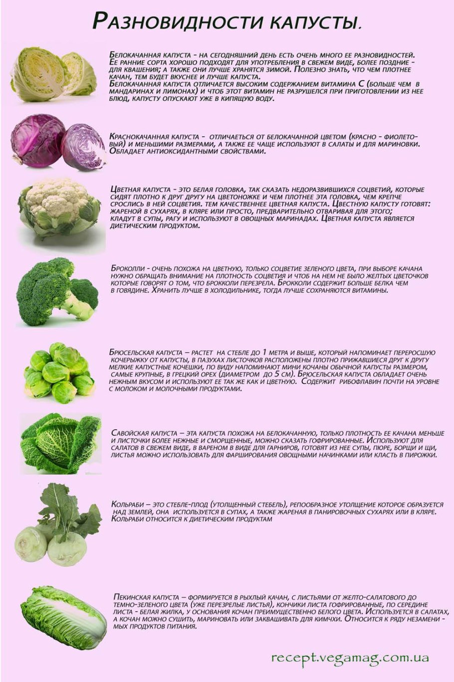 Стихи про капусту для детей