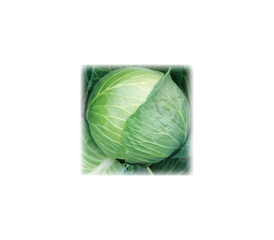 Формула цветка расшифровка