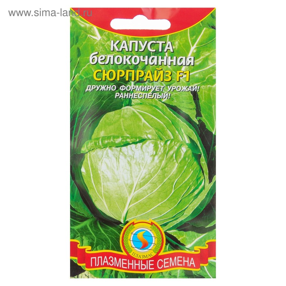 Типы жилкования листа