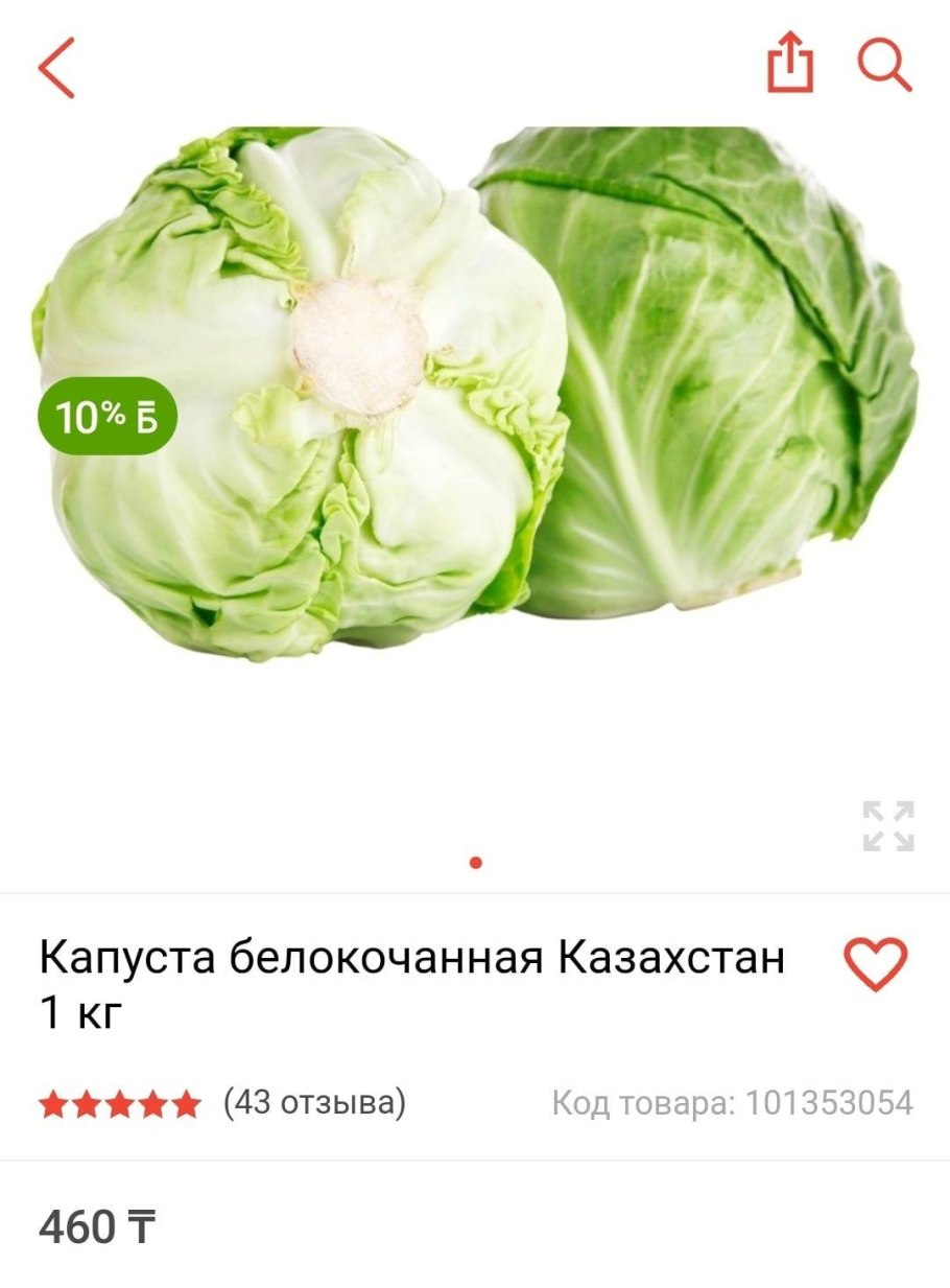 Гортензия строение цветка