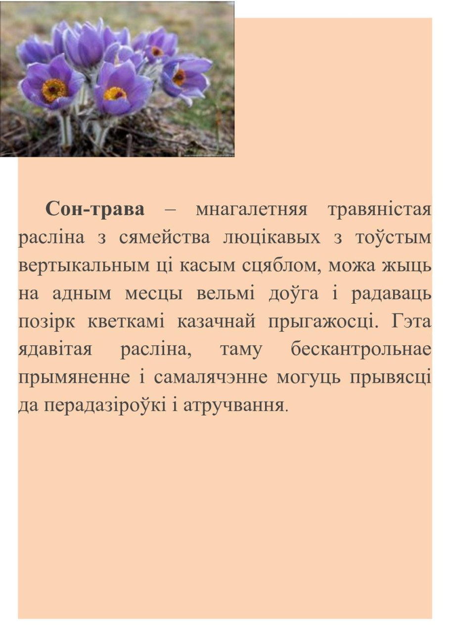 Брошюра заповедники России