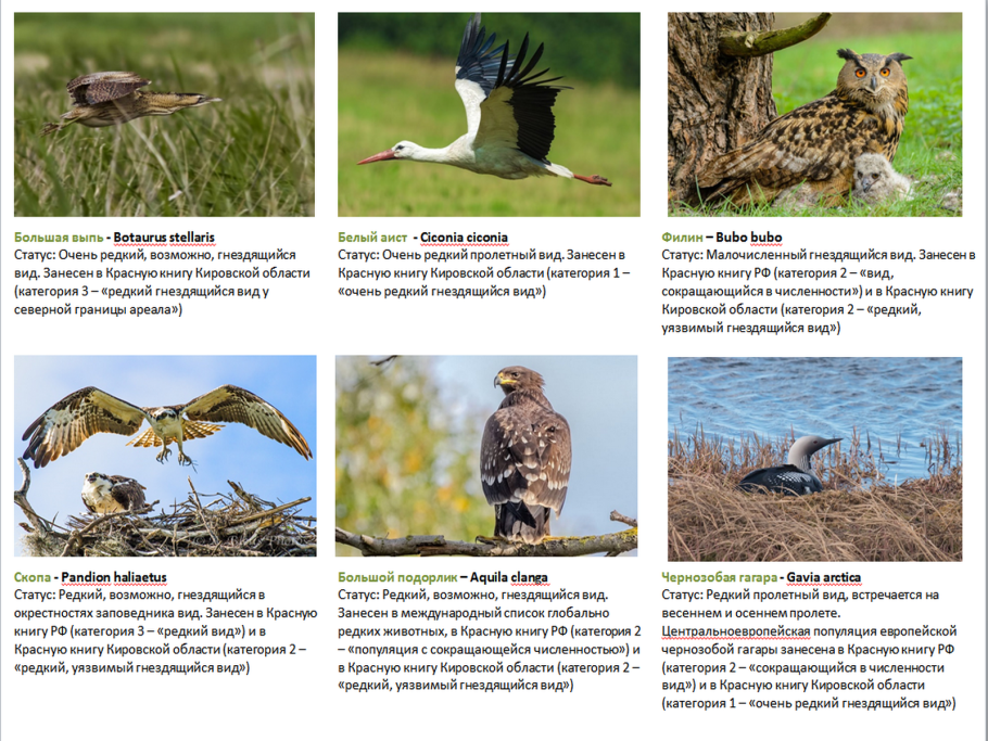 Буклет кировская область заповедник нургуш