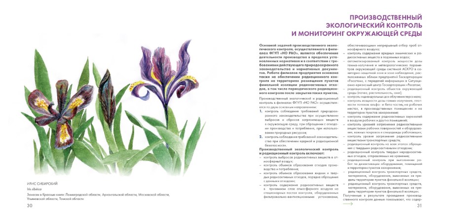 Венерин башмачок класс растения