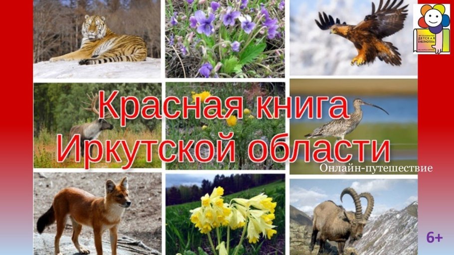 Эндемики Алтая растения