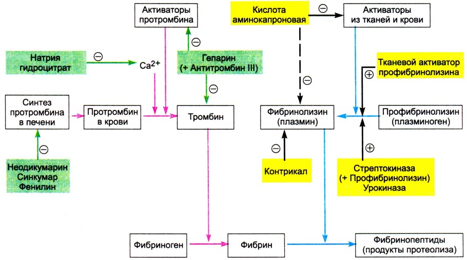 Схема пути прямого и обратного транспорта холестерола
