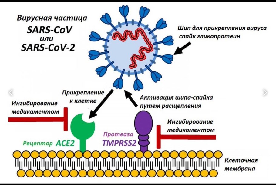 Генетический код схема синтеза белка