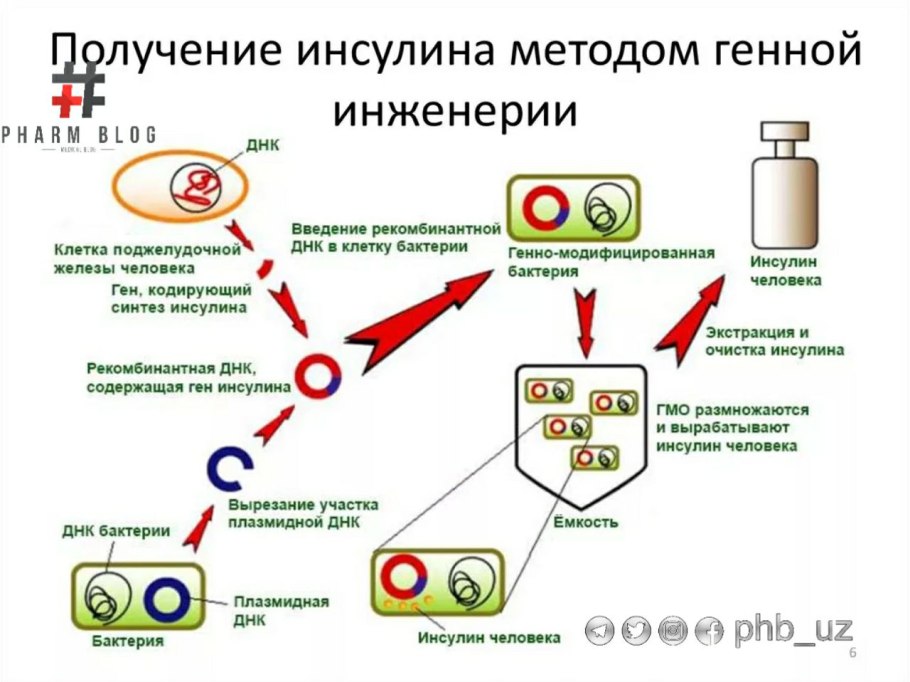Фолатный цикл схема