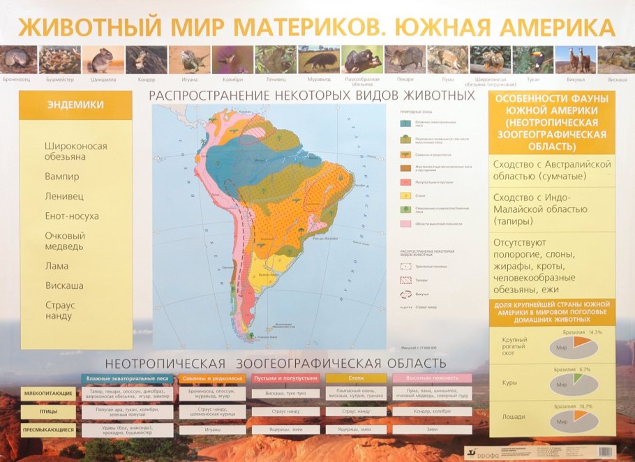 Влажные экваториальные леса Южной Америки на карте