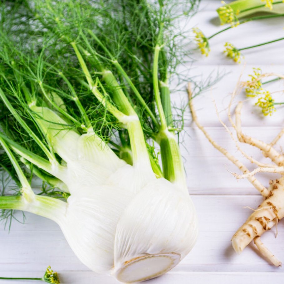 Фенхель обыкновенный осенний красавец