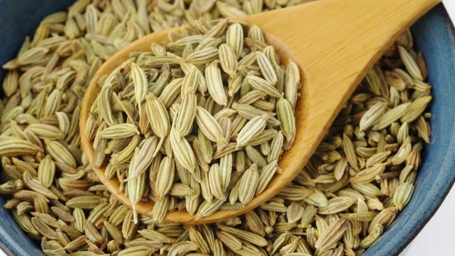 Фенхель огородный