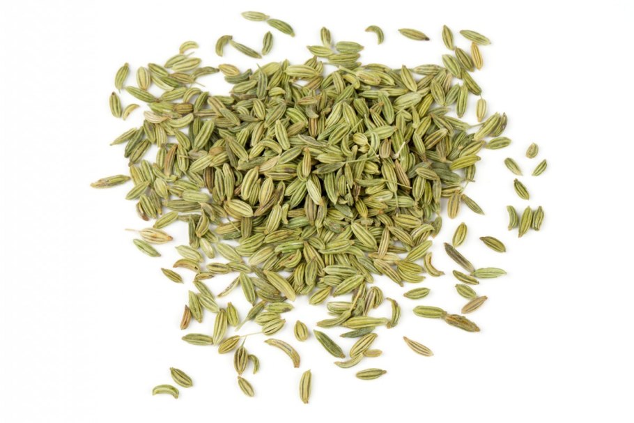 Фенхель обыкновенный